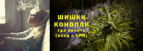 Альфа ПВП Белокуриха