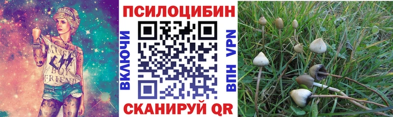 Галлюциногенные грибы мухоморы  наркота  Жиздра 