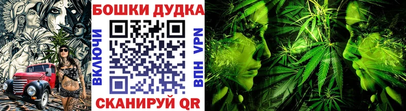 хочу наркоту  Жиздра  Каннабис гибрид 